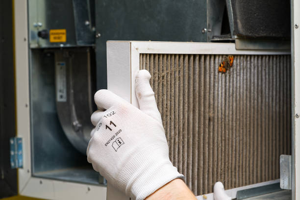 Best Ductwork Cleaning Services  in Pine Hills, FL