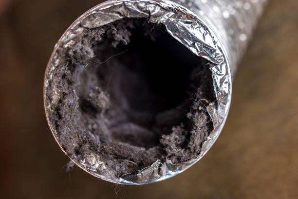 Best Best Air Duct Cleaning Company  in Pine Hills, FL