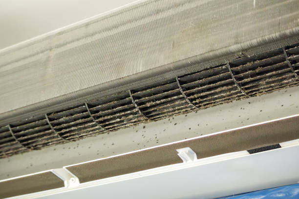  Pine Hills, FL Airduct Cleaning Pros